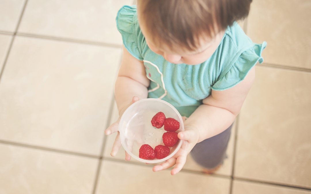 todder holding bowl of raspberries